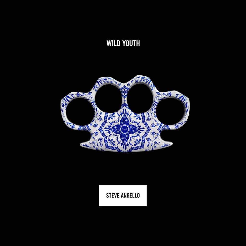 steve-angello-wild-youth