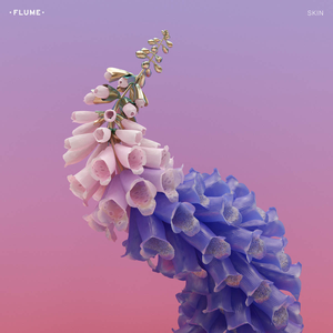 Flume Skin, cover album