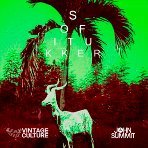 Sofi Tukker - Drinkee (Vintage Culture & John Summit Remix)